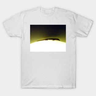 Moon Lizard T-Shirt